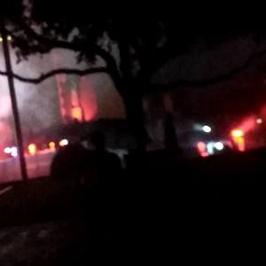 Meet your Posher, Ivy